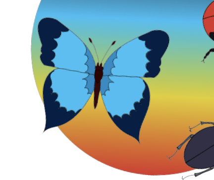 This is a large blue butterfly, one of my images to add to the eye motion graphics.